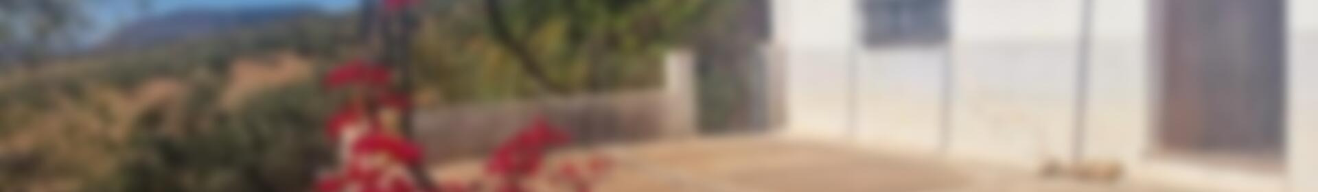 3 bedroom Country House for sale