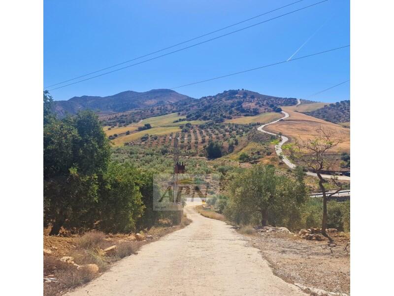 3 bedroom Country House for sale