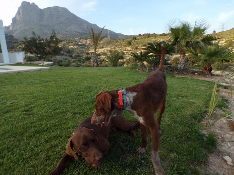 4 bedroom Villa for sale