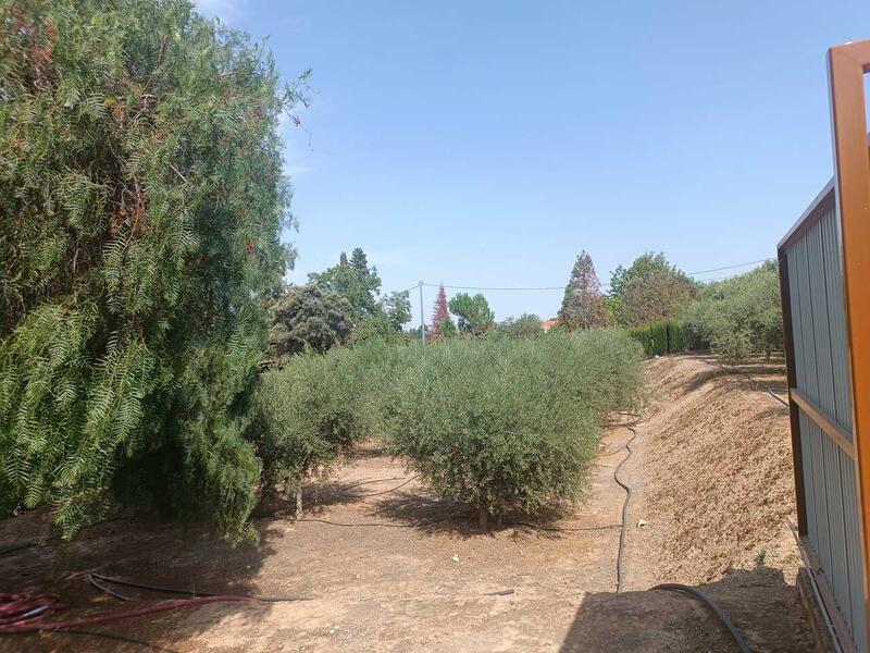 3 soveværelse Landsted til salg