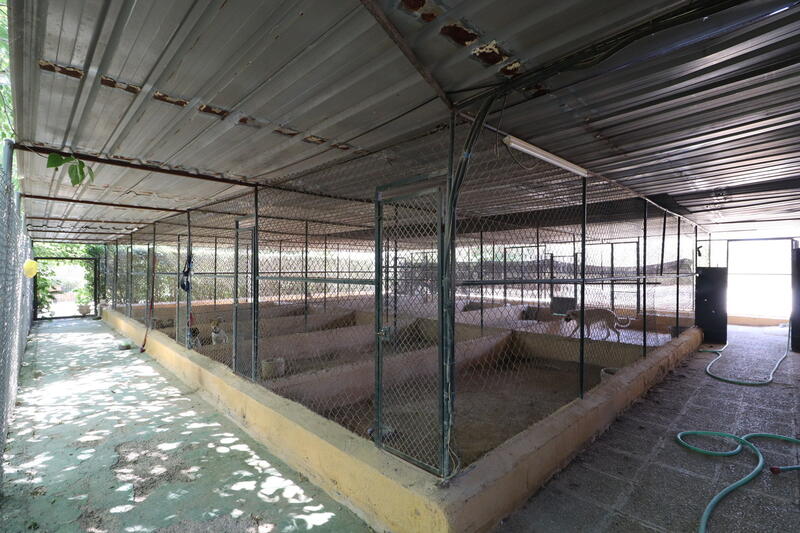 3 bedroom Country House for sale