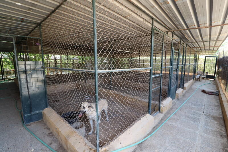 3 bedroom Country House for sale