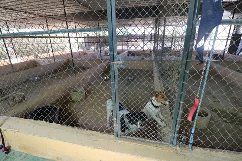 3 bedroom Country House for sale