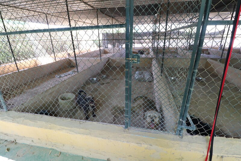 3 bedroom Country House for sale