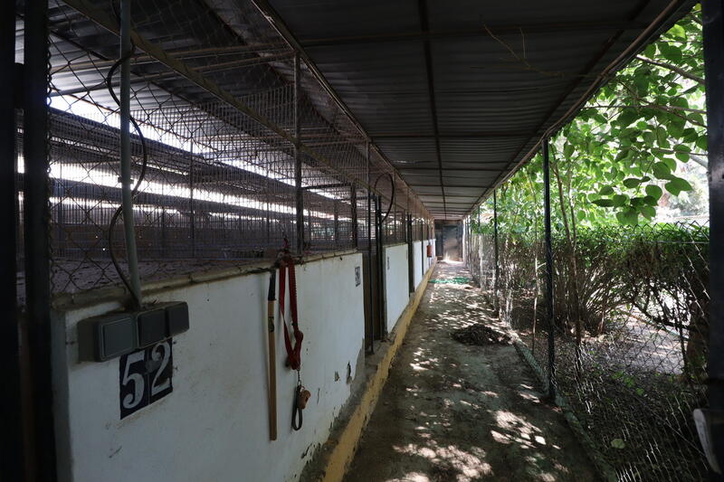 3 bedroom Country House for sale