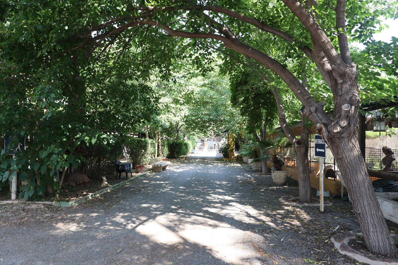 3 bedroom Country House for sale