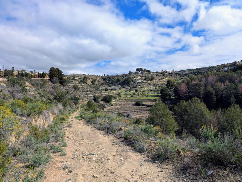 Maison de Ville à vendre