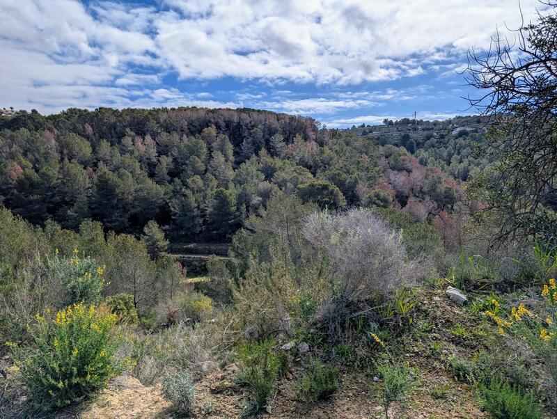 Maison de Ville à vendre
