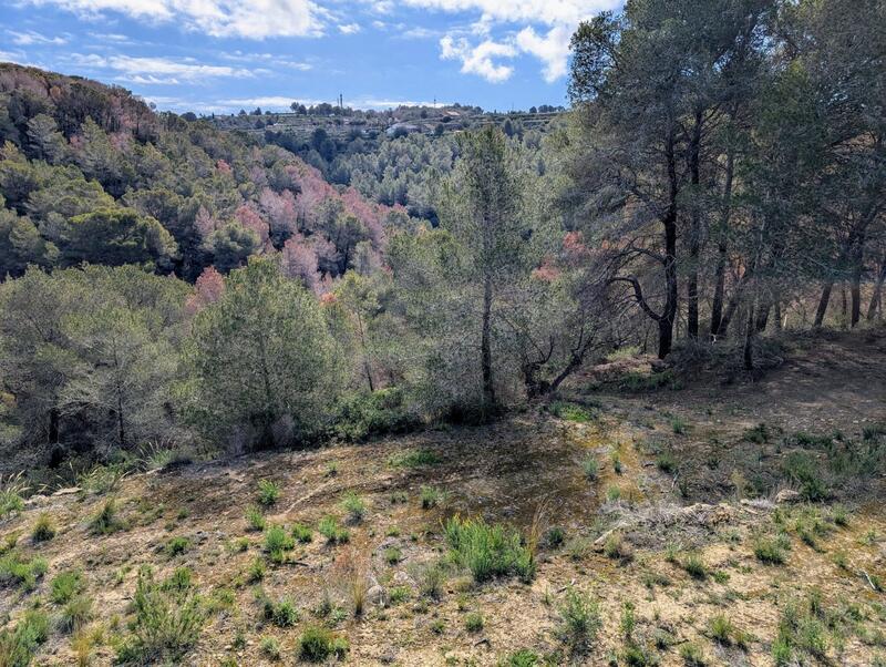 Maison de Ville à vendre