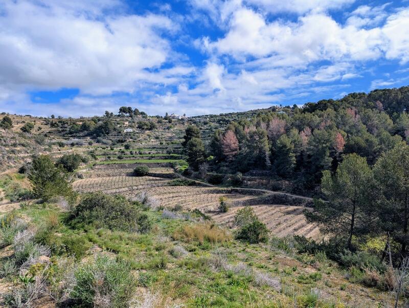 Maison de Ville à vendre