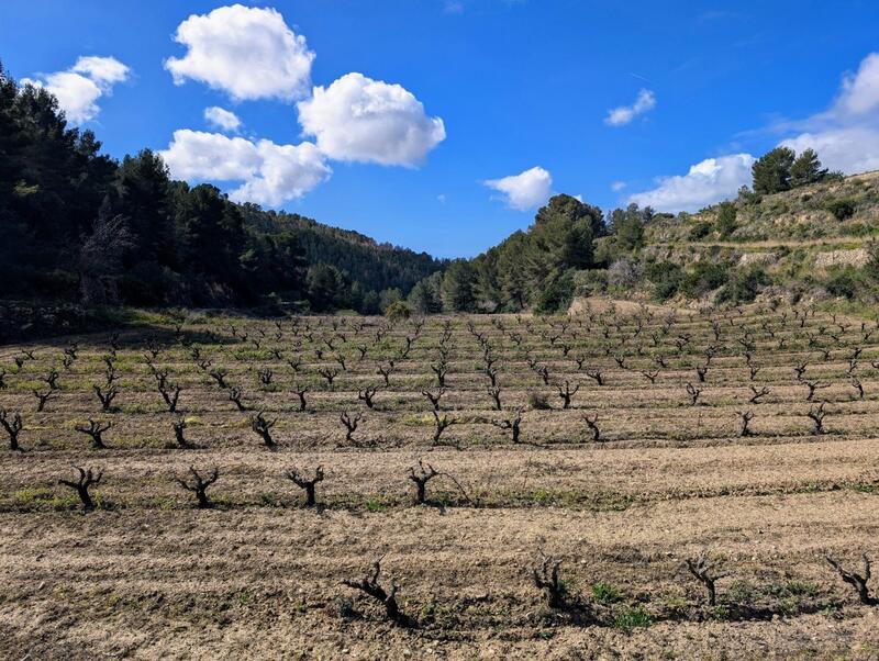 Maison de Ville à vendre
