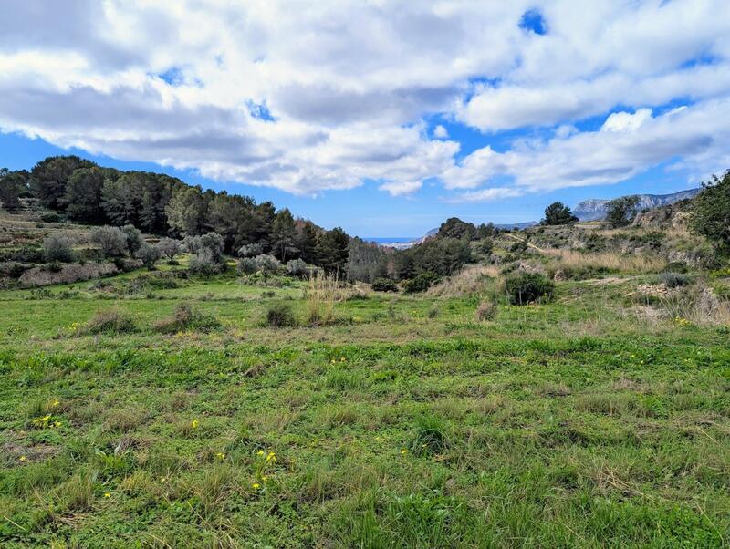 Maison de Ville à vendre