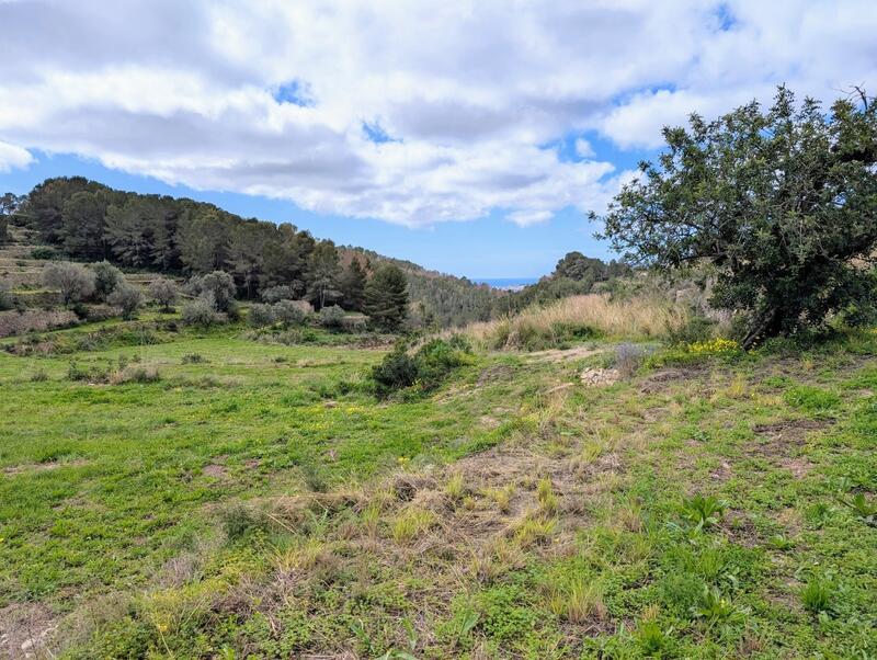Maison de Ville à vendre