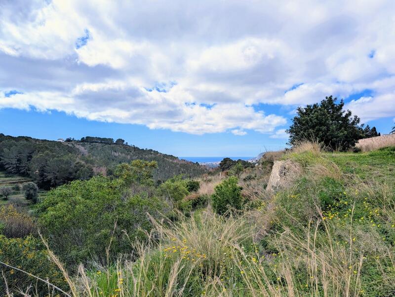 Maison de Ville à vendre