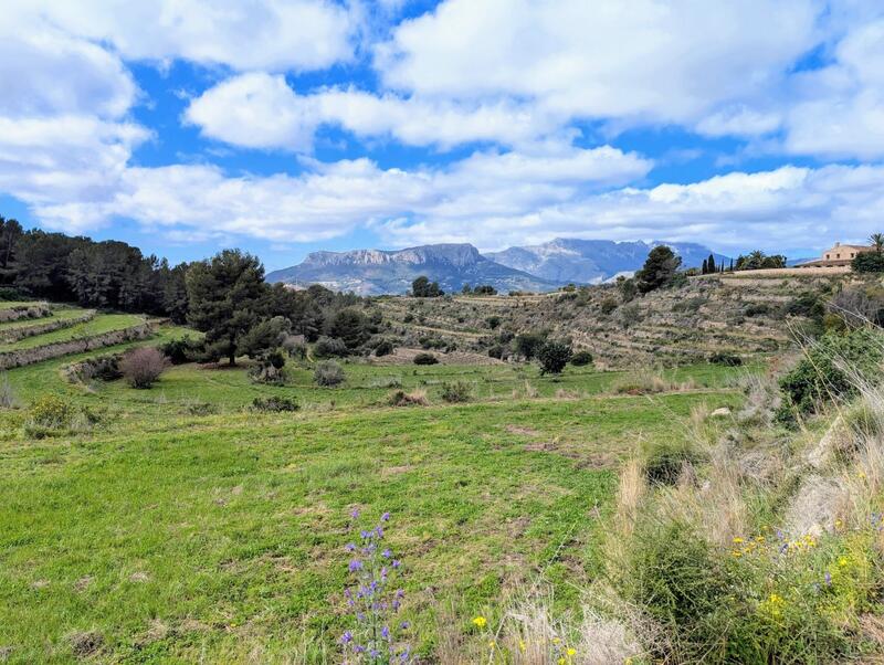 Maison de Ville à vendre