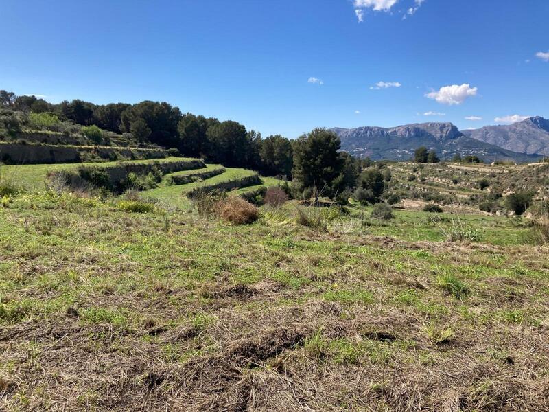 Maison de Ville à vendre
