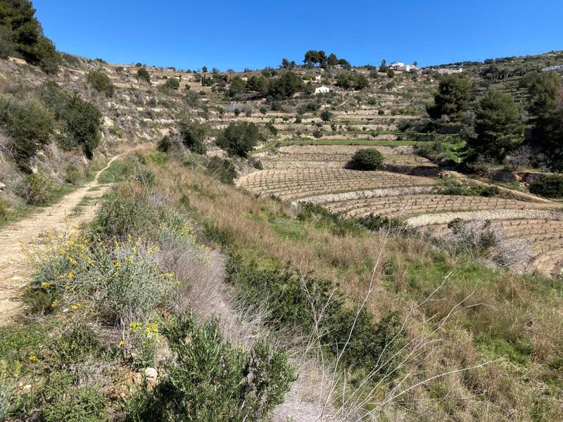 Maison de Ville à vendre
