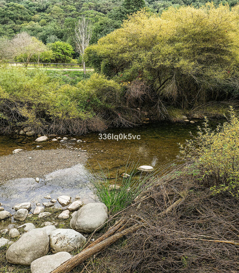 5 bedroom Villa for sale