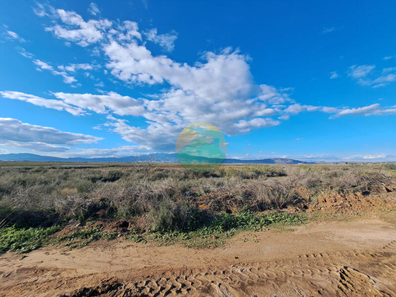 5 soverom Herregård til salgs