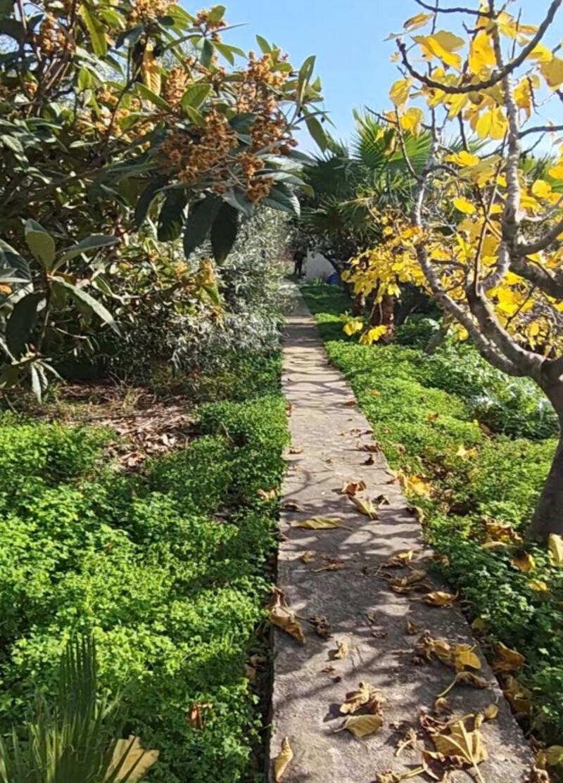 2 Cuarto Casa de Campo en venta