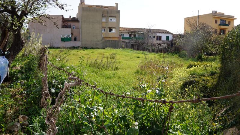 Apartment for sale in Lloseta, Mallorca