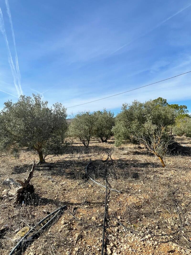 2 chambre Auberge à vendre