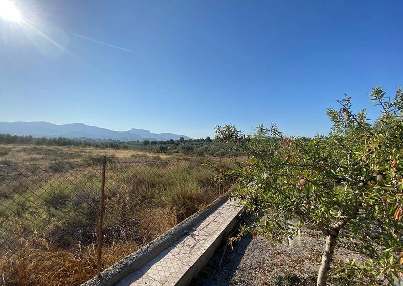 5 Cuarto Villa en venta