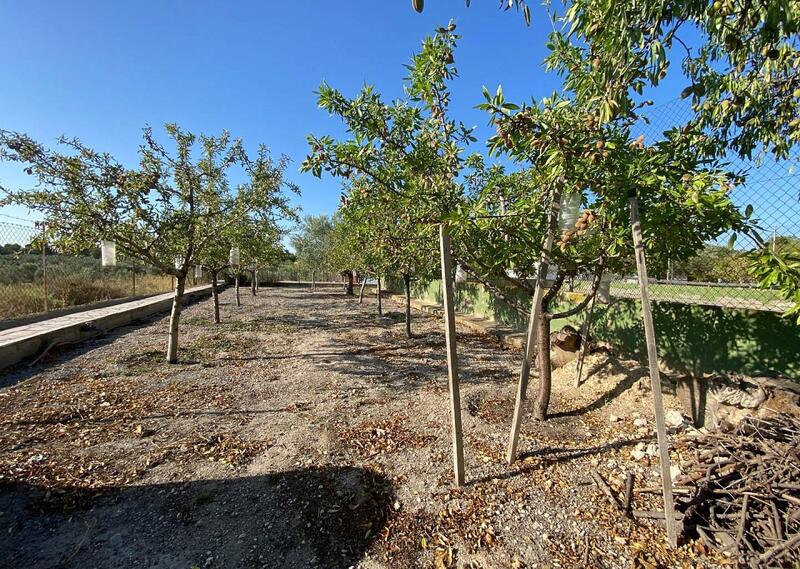 5 Cuarto Villa en venta