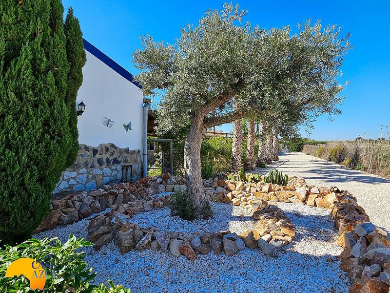 6 Cuarto Casa de Campo en venta 6 Cuarto Casa de Campo en venta