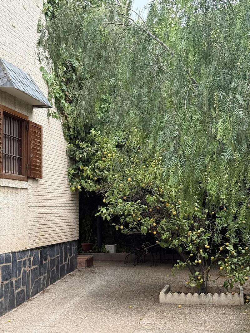 4 Cuarto Villa en venta