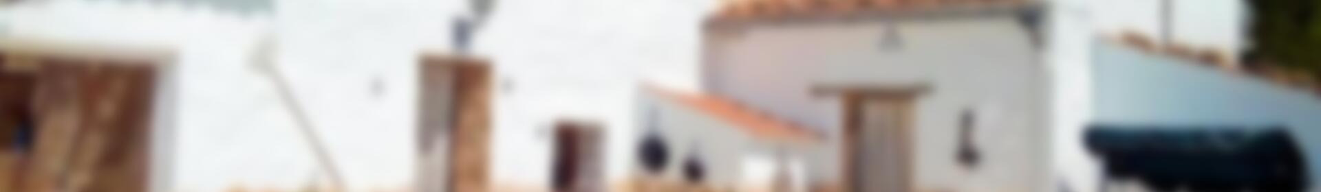 5 soverom Villa til salgs