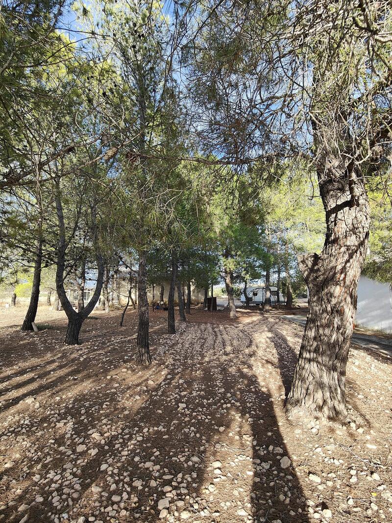 3 bedroom Country House for sale