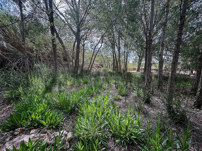 Landhaus zu verkaufen