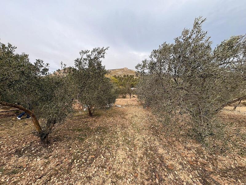 Terrenos en venta en Onil, Alicante