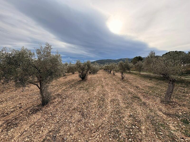 Terrenos en venta Terrenos en venta