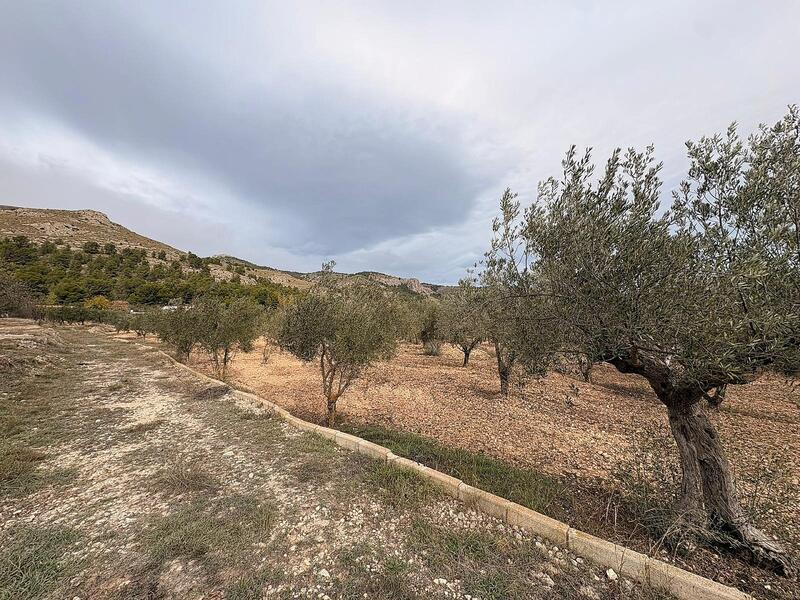 Terrenos en venta Terrenos en venta