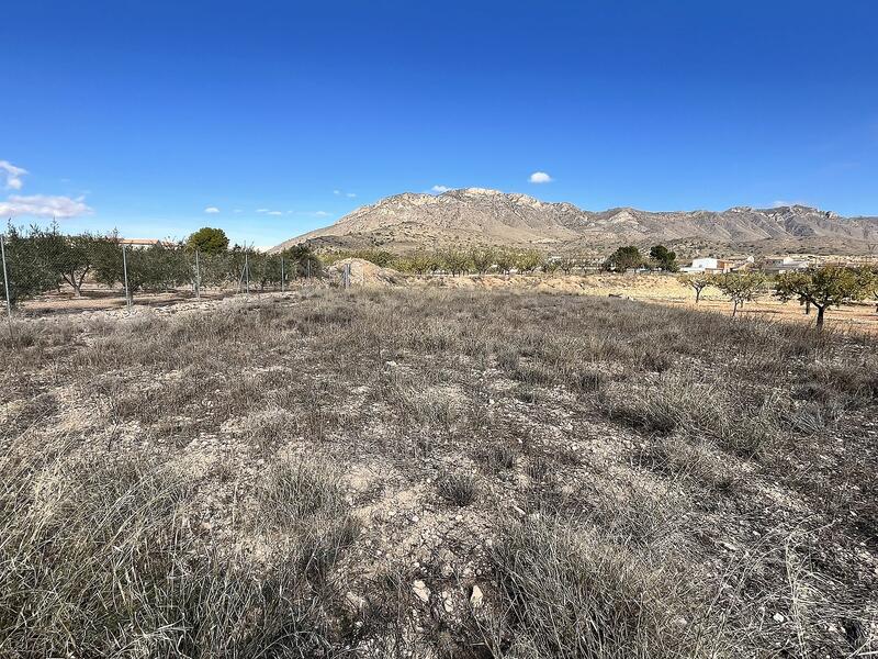 4 bedroom Country House for sale