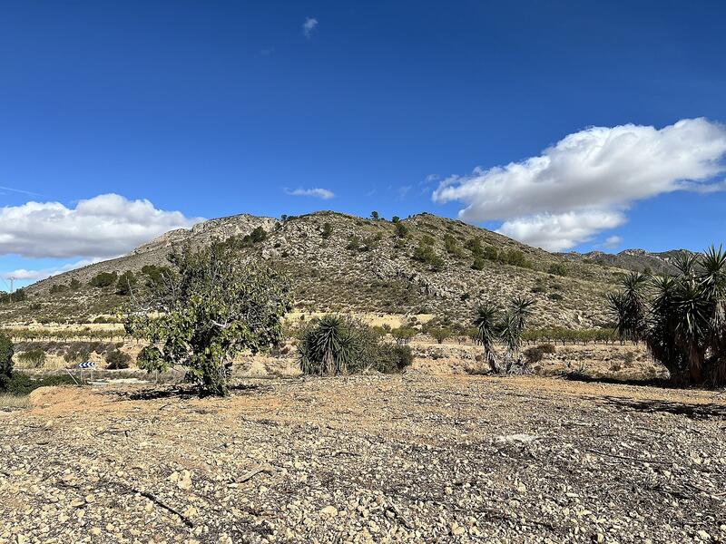 4 bedroom Country House for sale