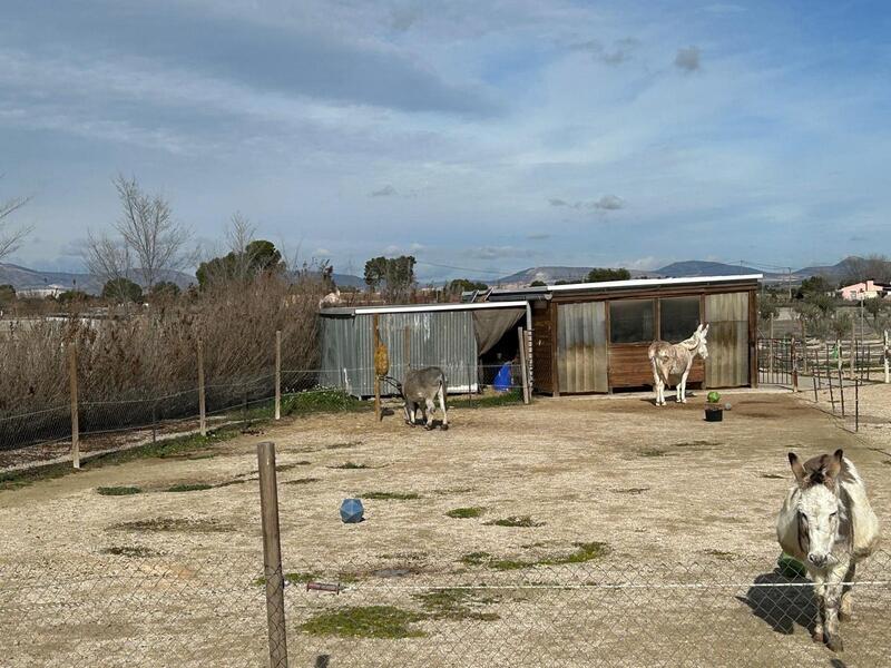 5 soverom Villa til salgs