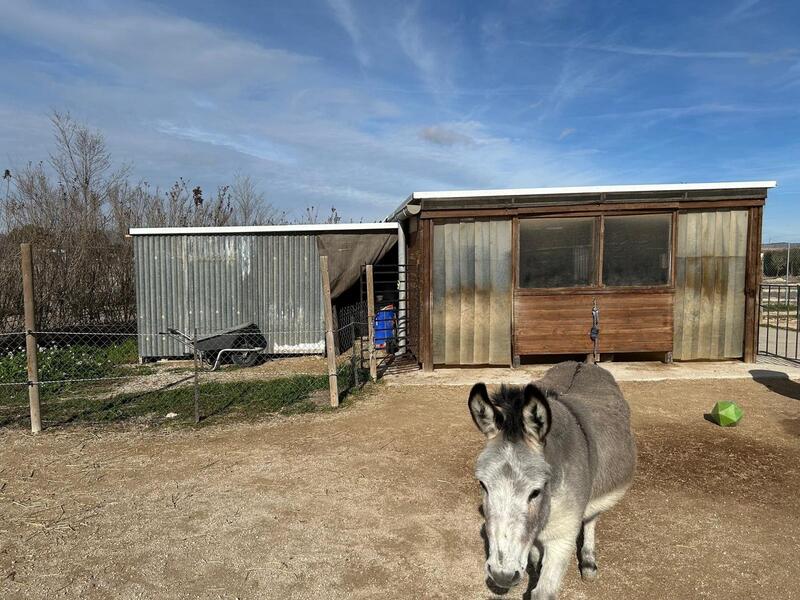 5 soverom Villa til salgs