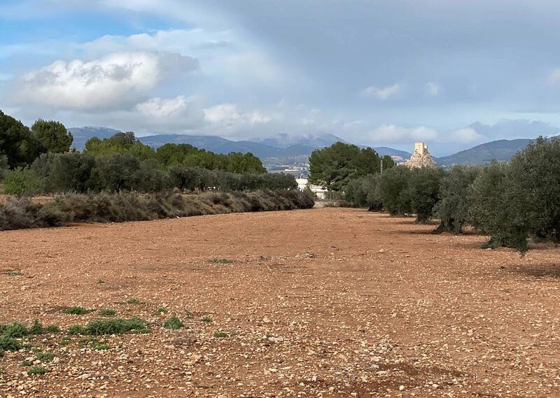 2 bedroom Country House for sale