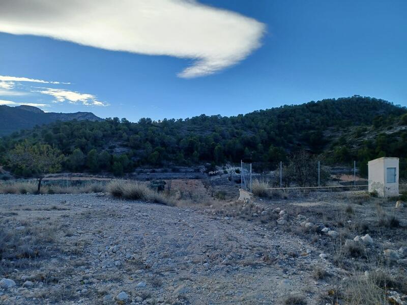 3 спальная комната Деревенский Дом продается