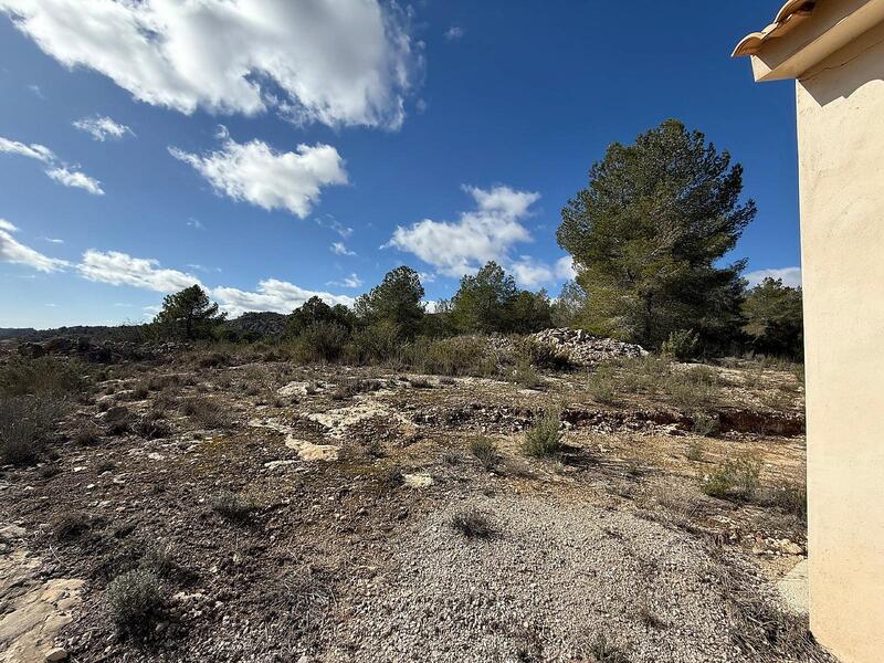 2 soverom Herregård til salgs