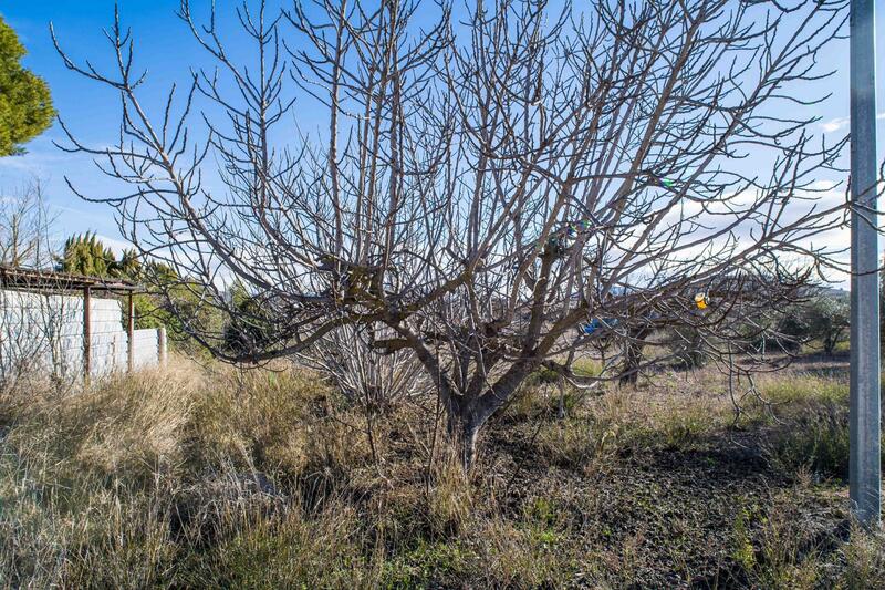 5 Cuarto Casa de Campo en venta