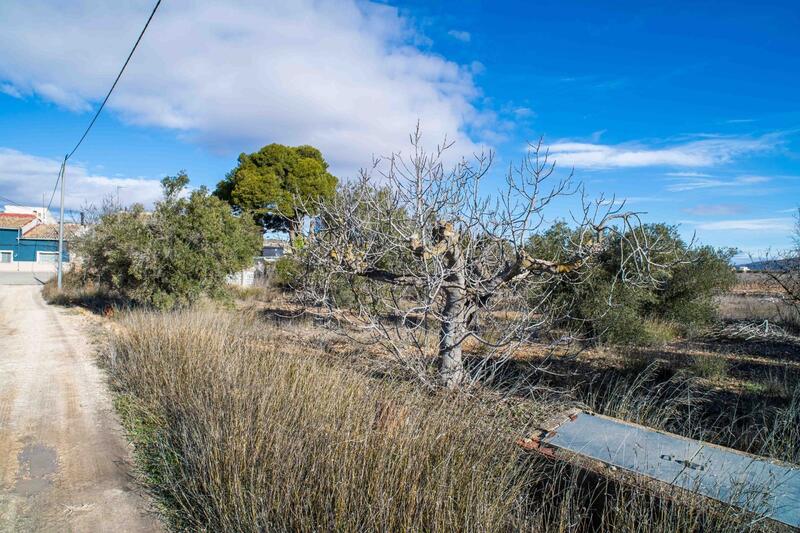 5 Cuarto Casa de Campo en venta