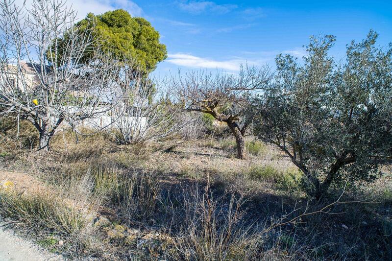 5 Cuarto Casa de Campo en venta