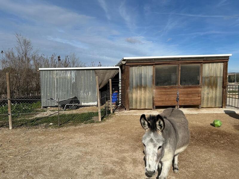 5 Cuarto Villa en venta