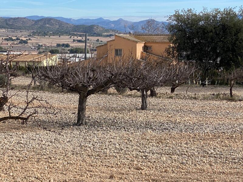 4 Schlafzimmer Landhaus zu verkaufen 4 Schlafzimmer Landhaus zu verkaufen