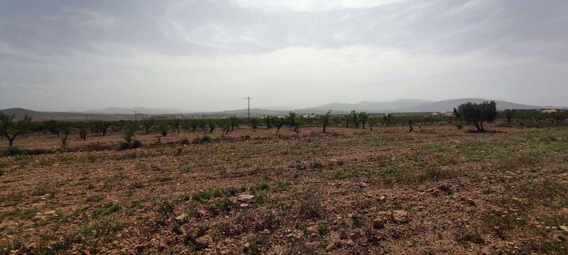 Casa de Campo en venta