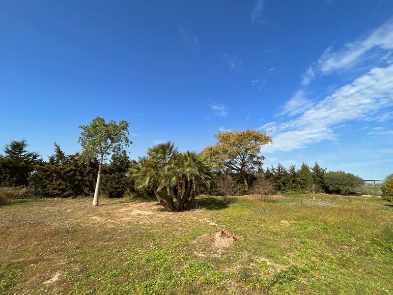 6 bedroom Country House for sale